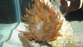 fish 047.jpg