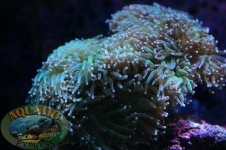 DSC_0001.JPG