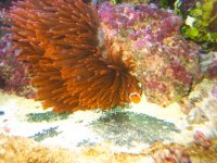 IMG_5495.jpg