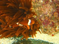 IMG_5498.jpg