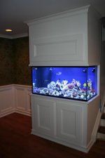 IMG_5751.jpg