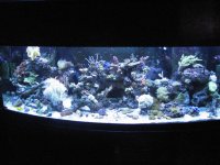 9-28-09 Reef FTS.jpg