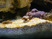 DSCF6801.jpg