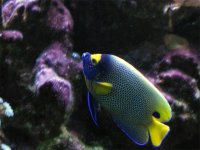 IMG_0187s.jpg