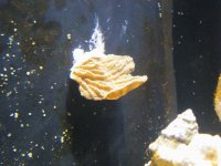 DSCF6810.jpg