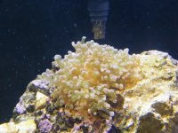 DSCF6812.jpg