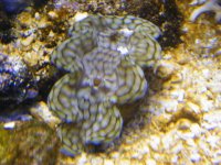 DSCF6817.jpg