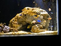 DSCF6854.jpg