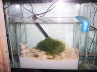 100_2023.jpg