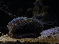 DSCF6880.jpg