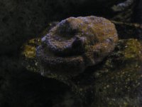 DSCF6897.jpg