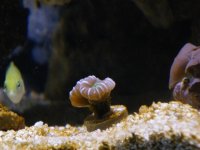 DSCF6904.jpg