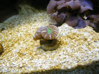 DSCF6910.jpg