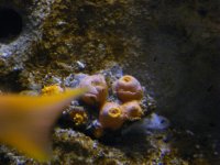 DSCF6924.jpg