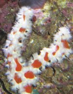 IMG_4629.jpg
