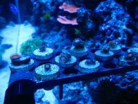 IMG_2047.jpg
