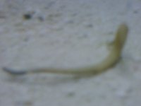 IMG00172-20090527-2155.jpg