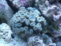 IMG_0359.jpg