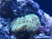 IMG_0357.jpg
