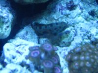 IMG_0355.jpg