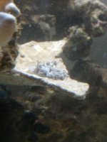 fail...xenia.jpg