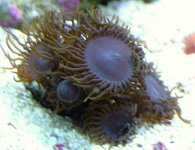 DSCF2839.JPG