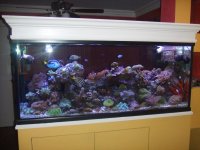 DSCF2478.jpg