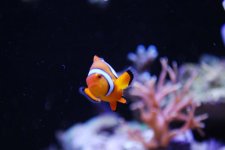 DSC_0087SMALL.jpg