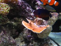 IMG_0375.jpg