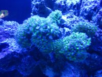 IMG_0390.jpg