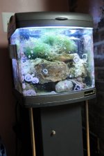 DSC_1319.jpg