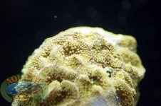 DSC_0001.jpg