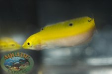 DSC_0001.jpg