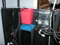 Phone Pics 027 (Small).jpg