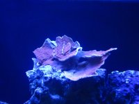 IMG_0569.jpg