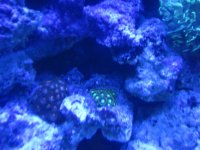 IMG_0571.jpg