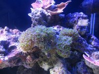 IMG_0583.jpg