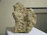 DSCF0667.jpg