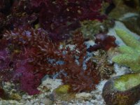 100104dmikes fish 001.jpg