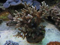 IMG_0003.jpg