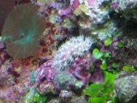 IMG_0083.JPG