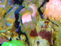 DSC00874.JPG