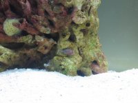 IMG_1292.jpg