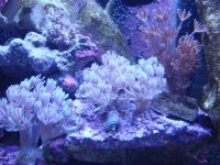 DSC01648.jpg