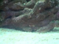 DSC01740.JPG