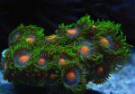 Nuclear-Sunchine-23.gif