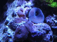 DSCN1731.jpg