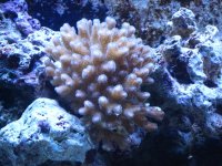 IMG_1730.jpg