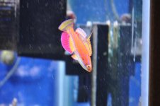 031.jpg
