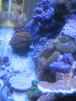 IMG_1018.jpg